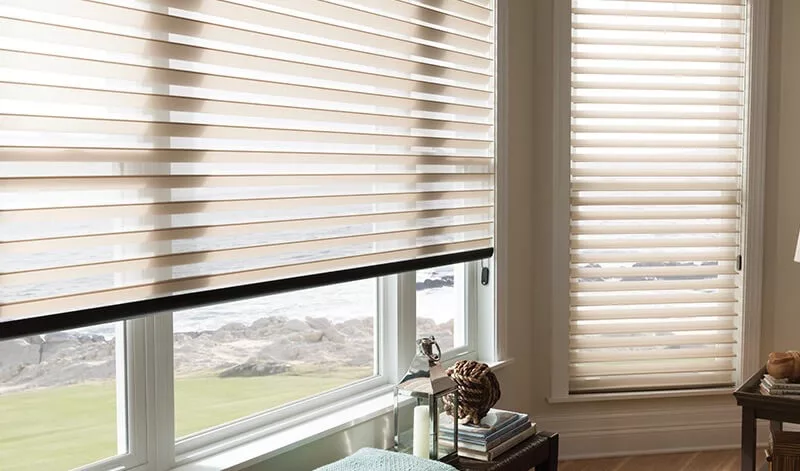 Sheer Shading Blinds